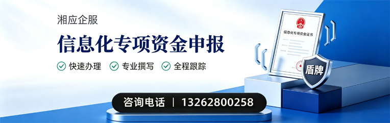 三明信息化专项资金申报服务