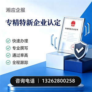 三明专精特新企业申报服务