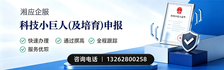 三明科技小巨人及培育企业申报服务