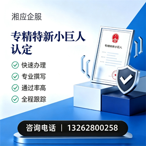 三明专精特新小巨人申报服务