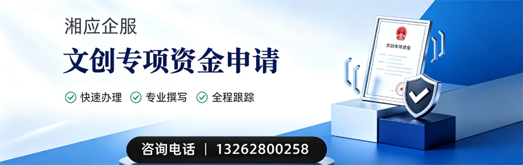 三明文创专项资金申报服务