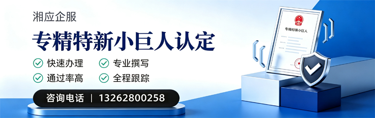 三明专精特新小巨人申报服务